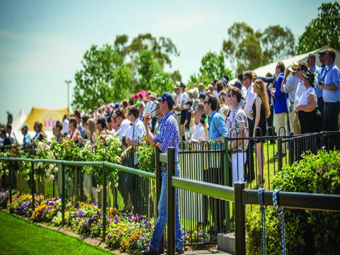 Dubbo Turf Club - Open With Races But No Spectators - Darwin Tourism 1