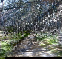 Federation Walk - Darwin Tourism