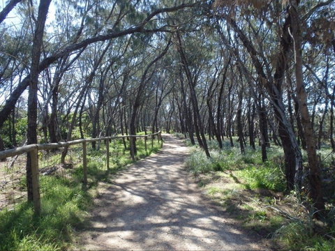 Federation Walk - Darwin Tourism 0
