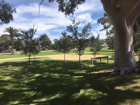 Federation Park Cobram - Darwin Tourism 1