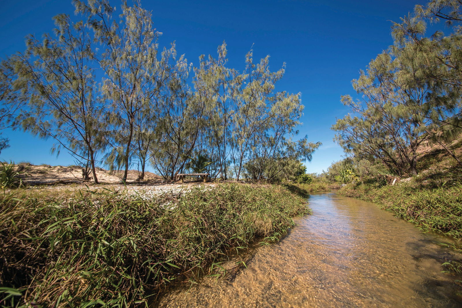 Farnborough QLD Darwin Tourism