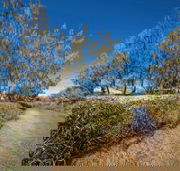 Freshwater Creek Track Byfield National Park - Darwin Tourism