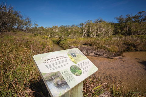 Freshwater Creek Track, Byfield National Park - Darwin Tourism 1