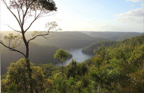 Great North Walk - Berowra Valley National Park - Darwin Tourism 0