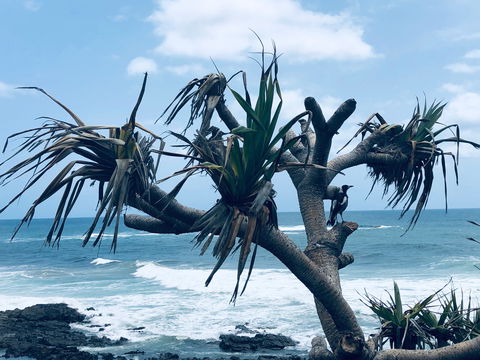 Hastings Point Beach - Darwin Tourism 0