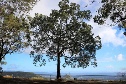 Heaton State Forest - Watagan Mountains - Darwin Tourism 2