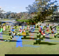Hello Koalas Sculpture Trail - Darwin Tourism