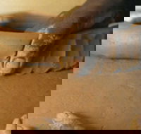 Hermannsburg Potters - Darwin Tourism