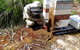 Honey Tasmania - The Beehive - thumb 0