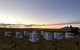 Honey Tasmania - The Beehive - thumb 2