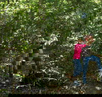 Iluka Rainforest Walking Track - Darwin Tourism