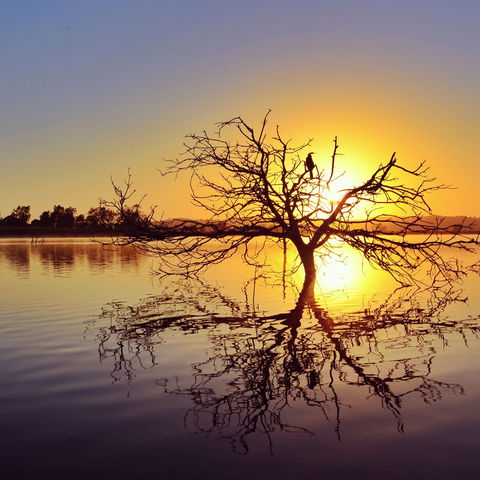 Lake Dyer - Darwin Tourism 0