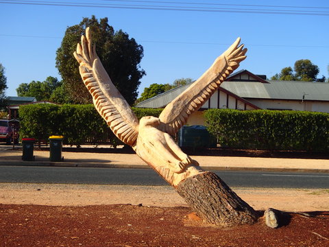 Loxton Tree Sculptures - Darwin Tourism 0