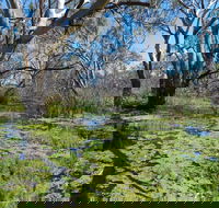 Macquarie Valley Trails - Darwin Tourism