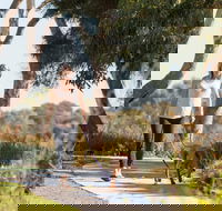 Meningie Walking and Cycling Trails - Darwin Tourism