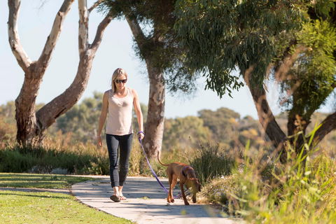 Meningie Walking And Cycling Trails - Darwin Tourism 0