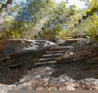 Mooney Mooney nature walk - Darwin Tourism