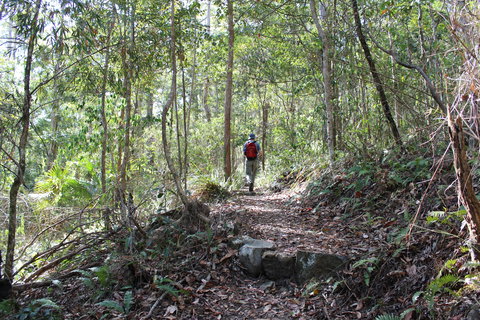 Morelia Walking Track, D'Aguilar National Park - Darwin Tourism 1