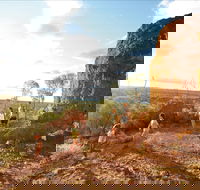 Natural Sciences Loop - Darwin Tourism