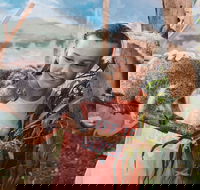 Oakvale Wildlife Park