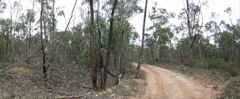 Paddys Ranges State Park - Darwin Tourism 0