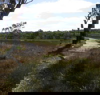 Penola Conservation Park - Darwin Tourism