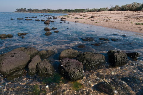 Point Cook Marine Sanctuary - Darwin Tourism 0