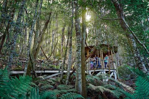 Scenic World Blue Mountains - Darwin Tourism 2