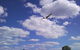 Southern Tablelands Gliding Club - thumb 1
