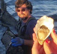 Southern Yorke Oysters - Darwin Tourism