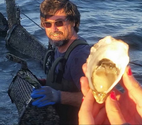 Southern Yorke Oysters - Darwin Tourism 0
