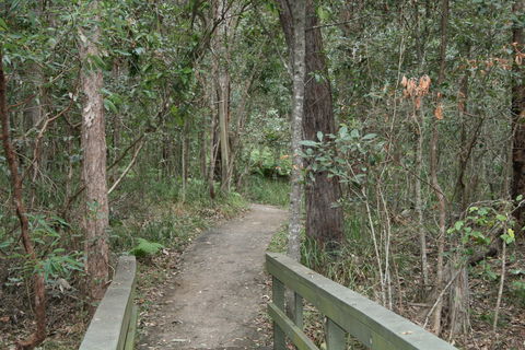 Springwood Conservation Park - Darwin Tourism 0