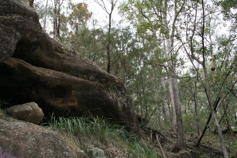 Springwood Conservation Park - Darwin Tourism 2