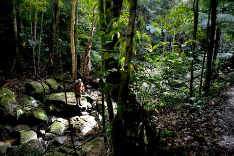 Strickland State Forest - Darwin Tourism 0