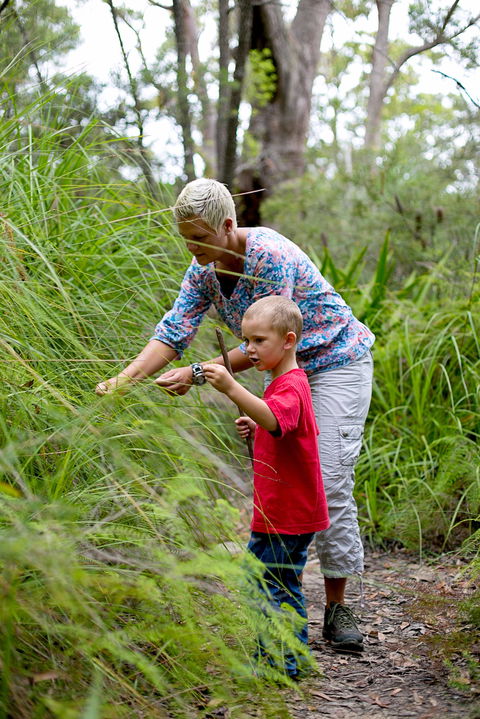 Strickland State Forest - Darwin Tourism 2