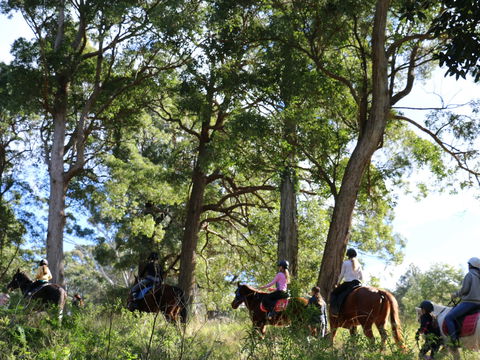 The Outlook Riding Academy - Darwin Tourism 0