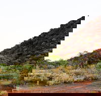 Whyalla Conservation Park - Darwin Tourism