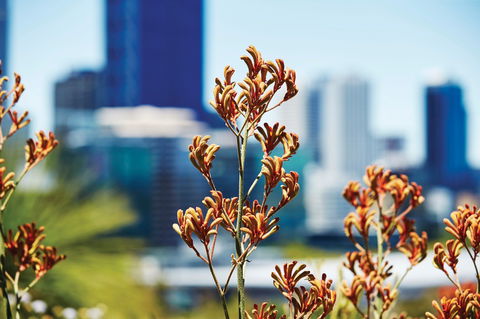 A Day In Perth - Darwin Tourism 1