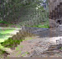 Bangadilly National Park - Darwin Tourism