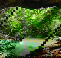 Buderim - Darwin Tourism