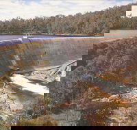 Collie - Darwin Tourism