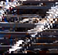 Dalby - Darwin Tourism