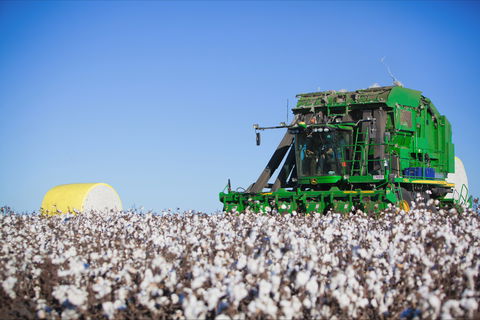 Dalby - Darwin Tourism 2