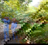 Endeavour Fern Gully Walks - Darwin Tourism