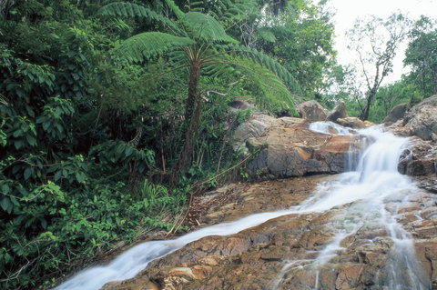 Finch Hatton - Darwin Tourism 0