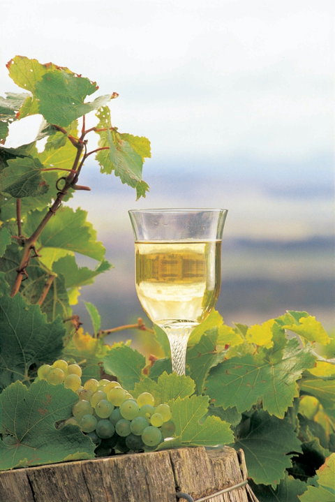 Flavours Of The Porongurup Range Trail - Darwin Tourism 0