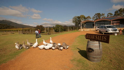 Flavours Of The Porongurup Range Trail - Darwin Tourism 2