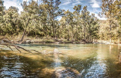 Flea Creek Picnic Area - Darwin Tourism 0