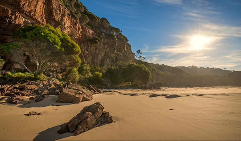 Greenglade Picnic Area - Darwin Tourism 0