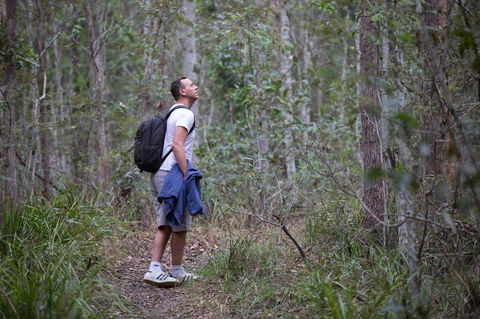 Ironbark Ridge And Spotted Gum Walking Trails - Darwin Tourism 2